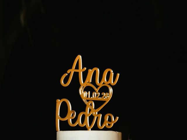 O casamento de Pedro e Ana em Faias, Palmela 115