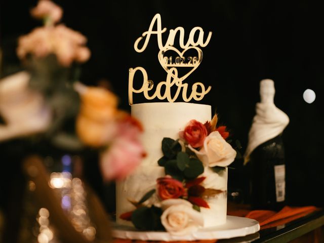 O casamento de Pedro e Ana em Faias, Palmela 116