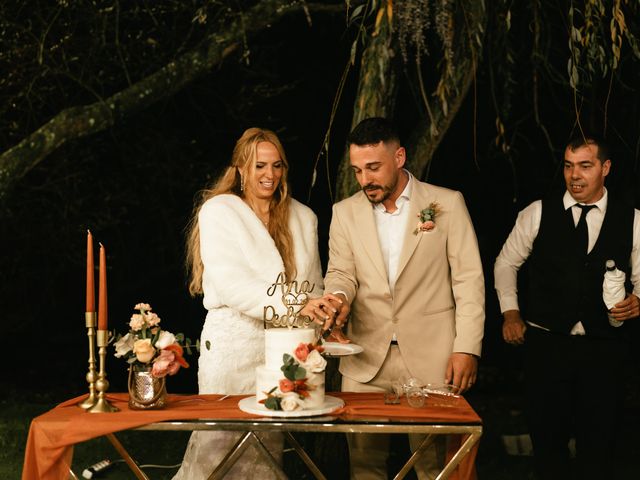 O casamento de Pedro e Ana em Faias, Palmela 121