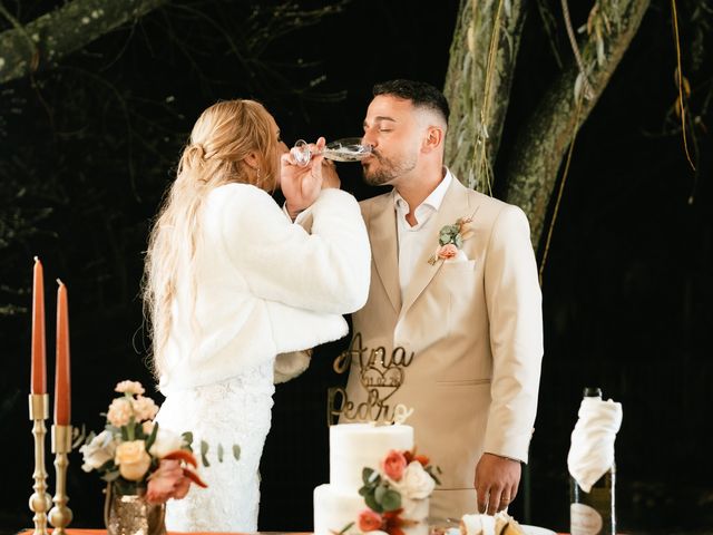 O casamento de Pedro e Ana em Faias, Palmela 124