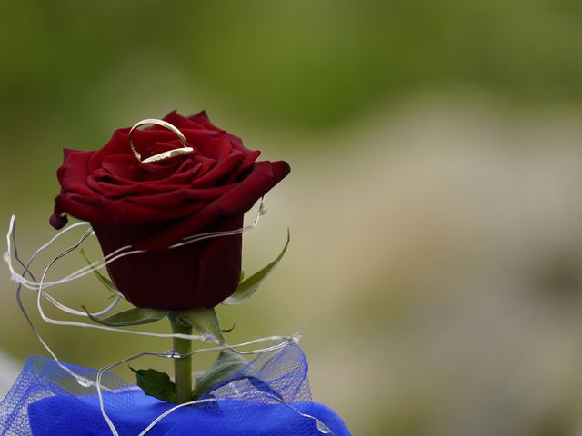 O casamento de Carlos e Daniela em São João das Lampas, Sintra 10