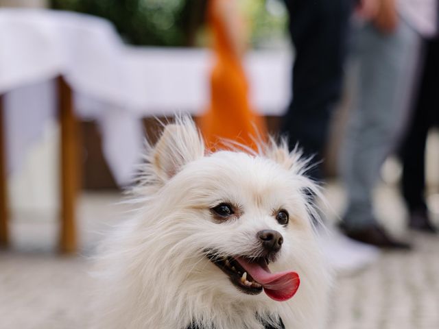 O casamento de Rayhaan e Nathally em Santo António da Charneca, Barreiro 120