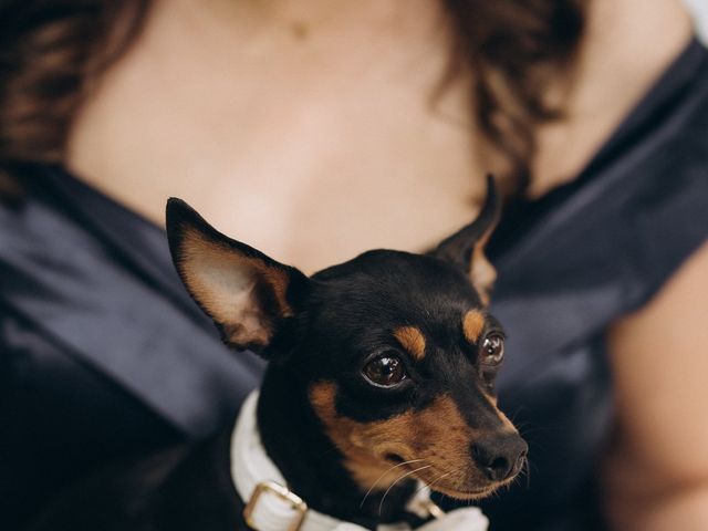 O casamento de Alexandre e Sandrine em Porto, Porto (Concelho) 12