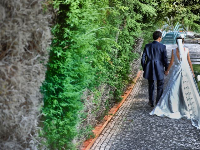 O casamento de Wilson e Joana em Santarém, Santarém (Concelho) 52