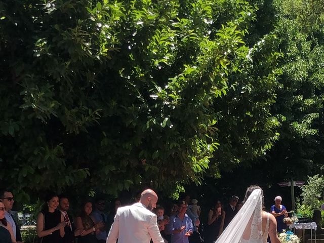 O casamento de João e Adriana em Castelo Branco, Castelo Branco (Concelho) 6