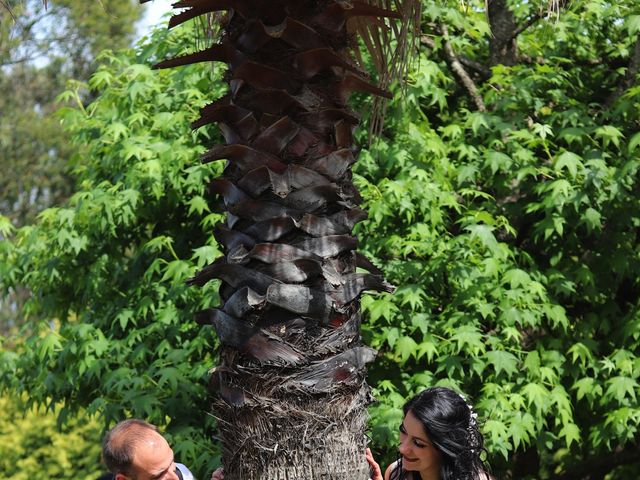 O casamento de Tiago e Tânia em Jovim, Gondomar 53