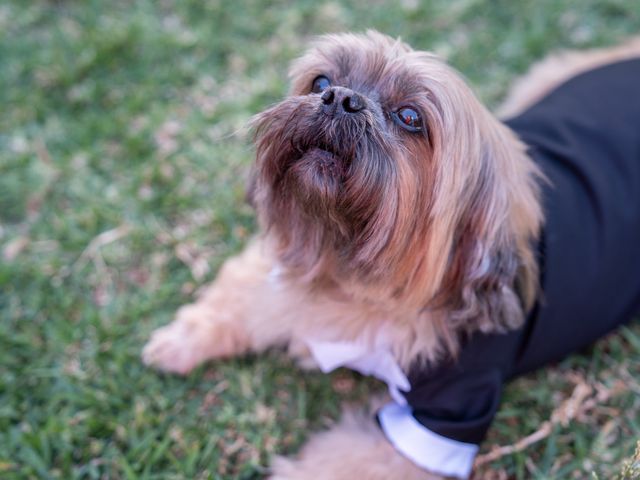 O casamento de Anna e Luíz em Oeiras, Oeiras 155