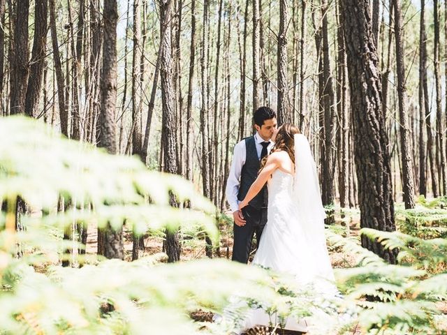 O casamento de Tiago e Sandra em Praia de Mira, Mira 2