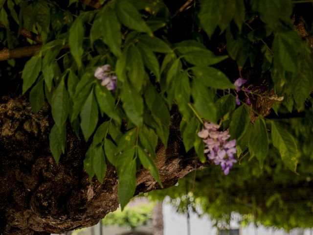 O casamento de André e Ana em Sobral de Monte Agraço, Sobral de Monte Agraço 43
