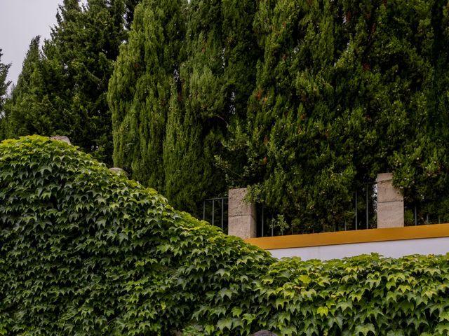 O casamento de André e Ana em Sobral de Monte Agraço, Sobral de Monte Agraço 49