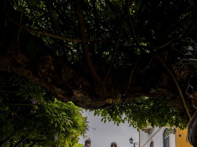 O casamento de André e Ana em Sobral de Monte Agraço, Sobral de Monte Agraço 56