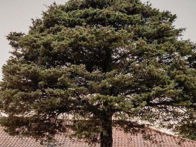 O casamento de Micael e Cátia em Aguiar da Beira, Aguiar da Beira 49