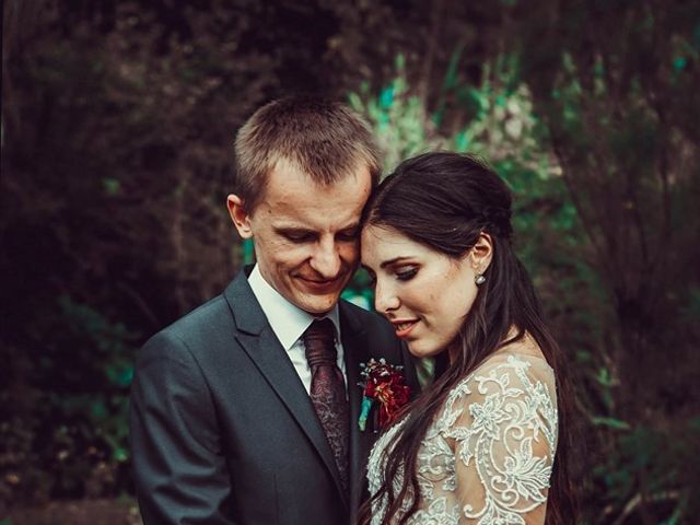 O casamento de Yuriy e Elisabete em Oiã, Oliveira do Bairro 8