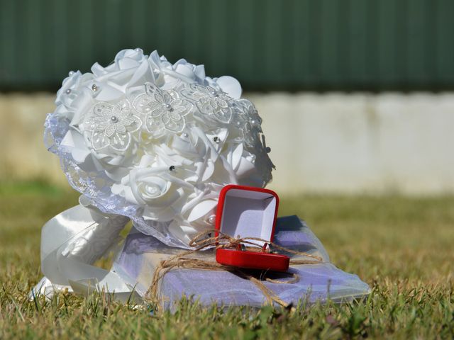 O casamento de Carina e Alexandre em Chão de Couce, Ansião 5