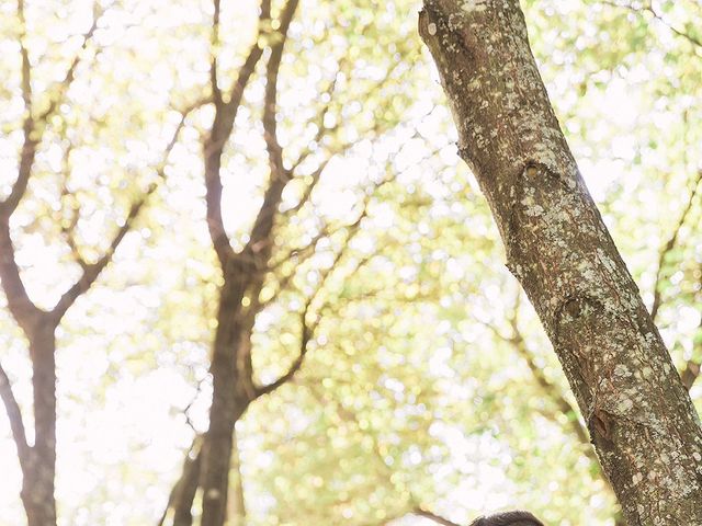 O casamento de Paulo e Cristiana em Penafiel, Penafiel 23