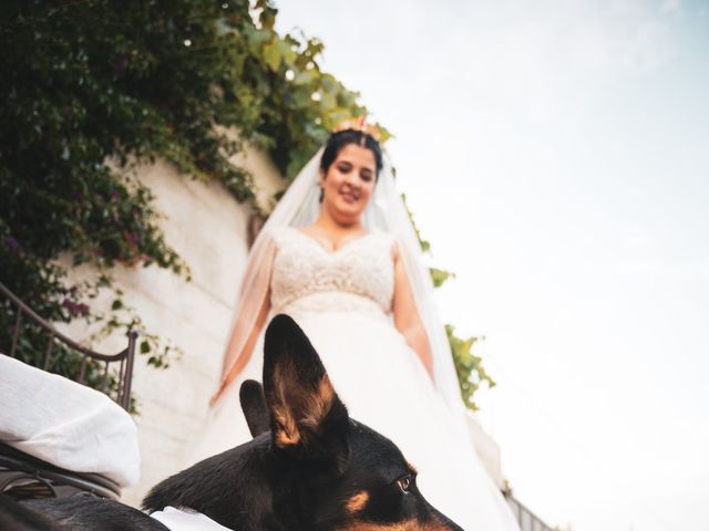 O casamento de Bárbara e Tiago em Palmaz, Oliveira de Azeméis 70