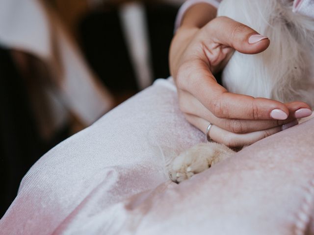 O casamento de Vasco e Mariana em Colares, Sintra 2