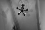 Proestudio ©