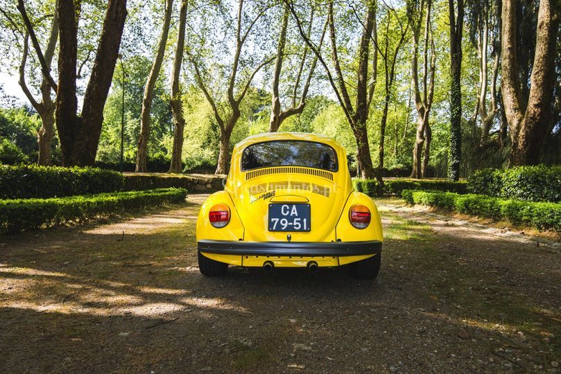 Amarelo2