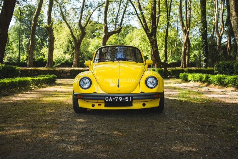 Amarelo17