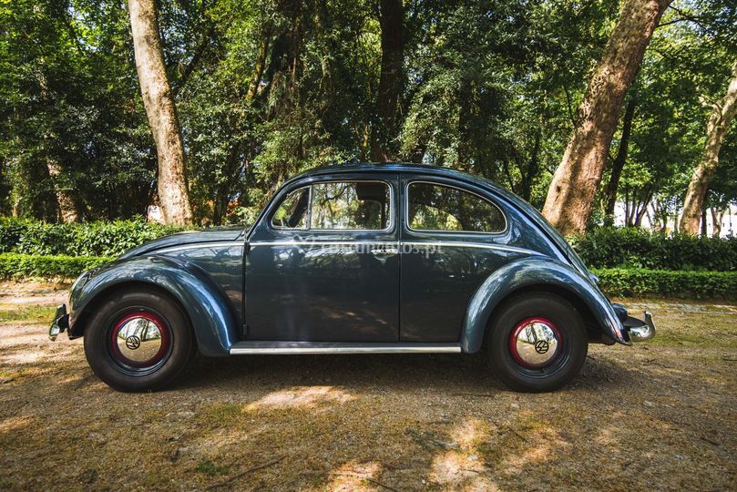 VW Azul