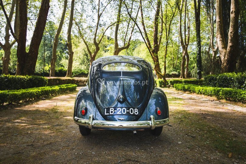 VW Azul1