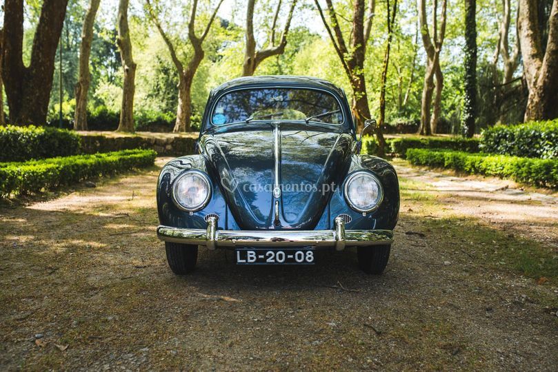 VW Azul7