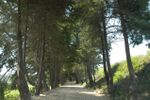Entrada