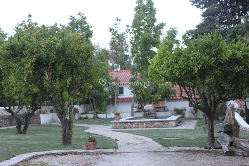 Aura Vinea
