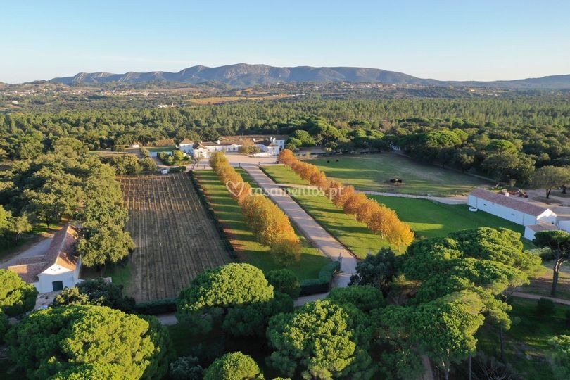 Herdade Do Peru