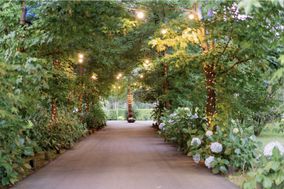 Bosque Eventos
