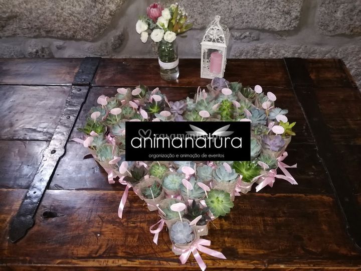 Animação garantida para todos