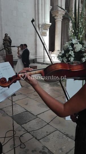Alma Cuore Violino