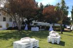 Bodas de Prata e de Ouro