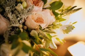 Florista Belleflor