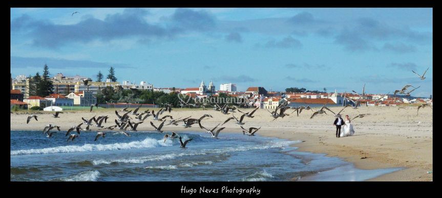 Passeando