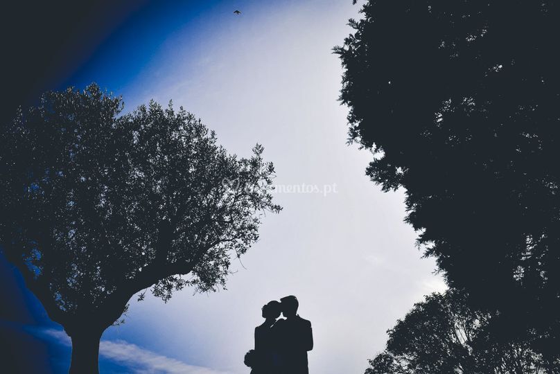 Fotografia casamento