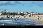 Passeando