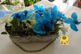 Florista Bazar da Tita