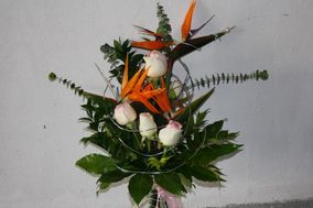 Mindaflor Florista