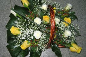 Florista Fresias