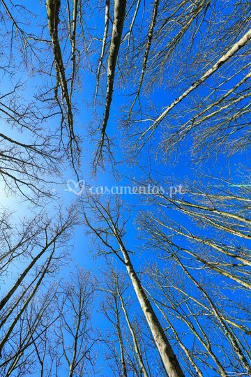 Natureza