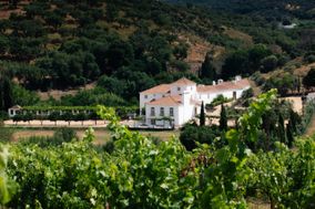 Villa Monge
