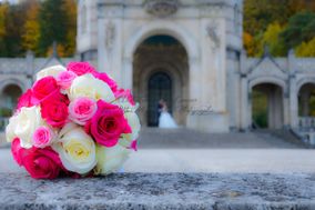 Les Petits Moments Photographie