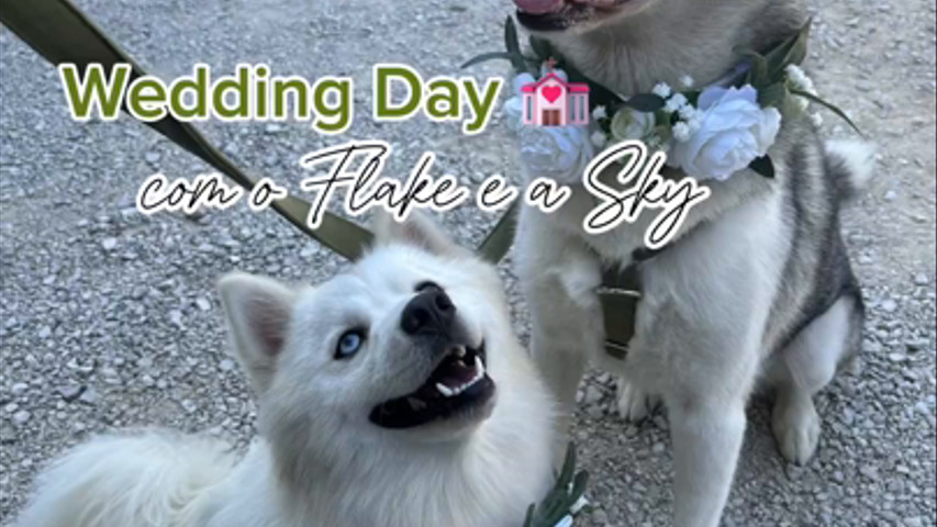 Wedding Flake e Sky