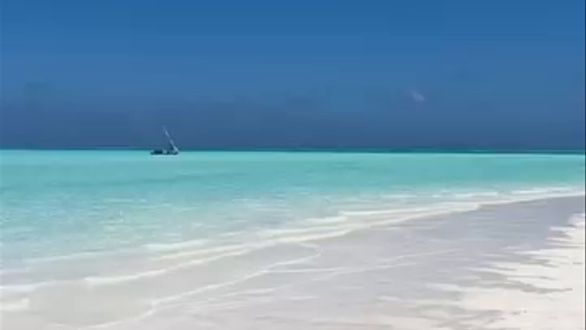 Zanzibar