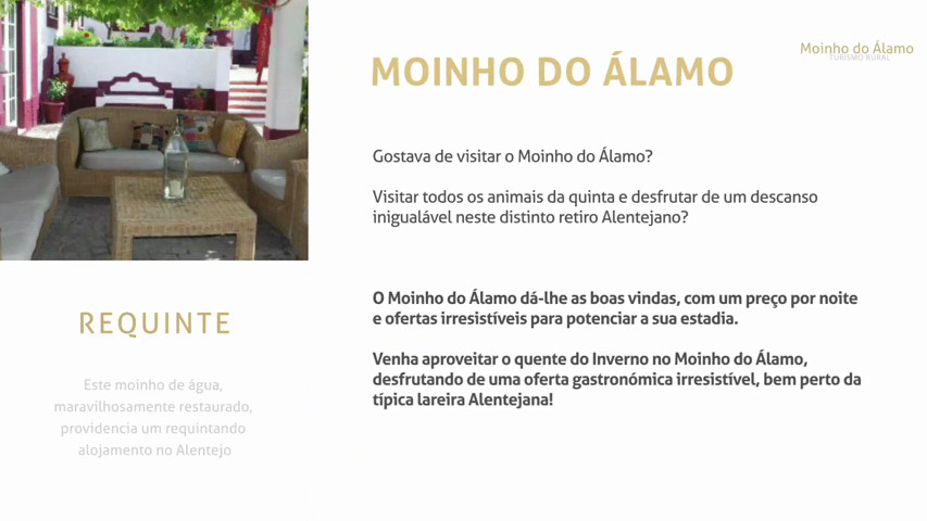 Moinho do Álamo - Turismo, Eventos e Actividades