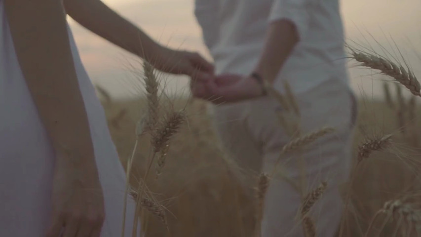 Casamento de Mariana e Lucas - THE FOREIGNERS - Foto e Video