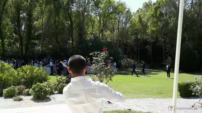 Violino durante os aperitivos/entradas