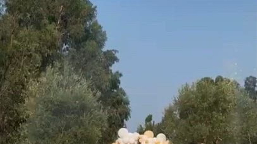 Chá Revelação Bebé 